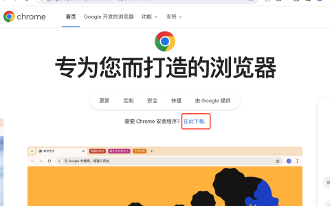 Google浏览器离线版下载方法